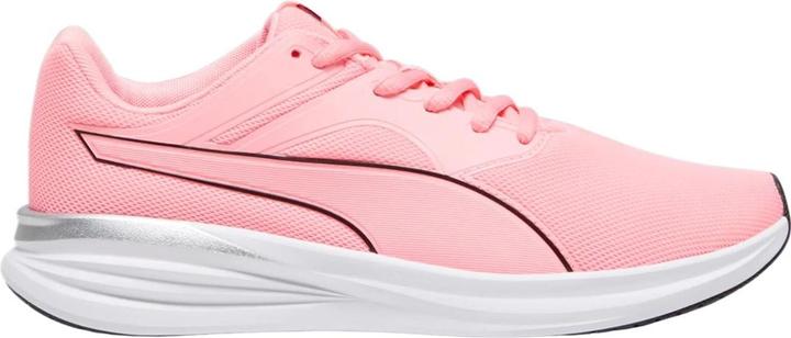 Puma Transport