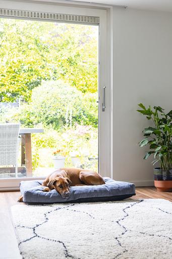 Immagine prodotto Beeztees Cuscino ortopedico per divano Veo (Cane)