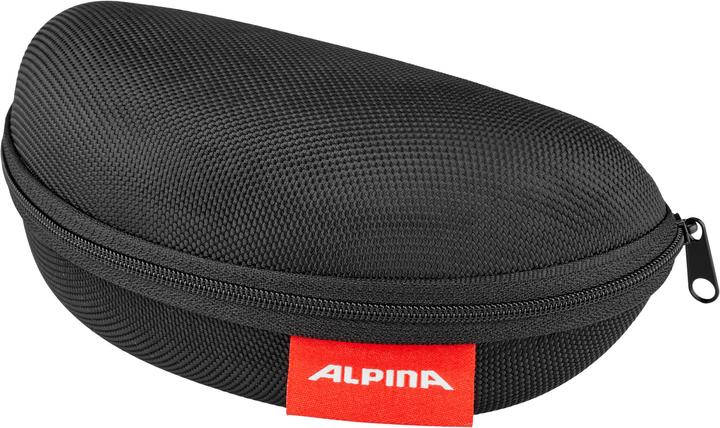 Immagine prodotto ALPINA SPORTS Tri-Effect 2.0 (Grigio, Nero)
