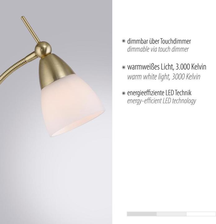Image du produit Paul Neuhaus Pino (265 lm, G9)