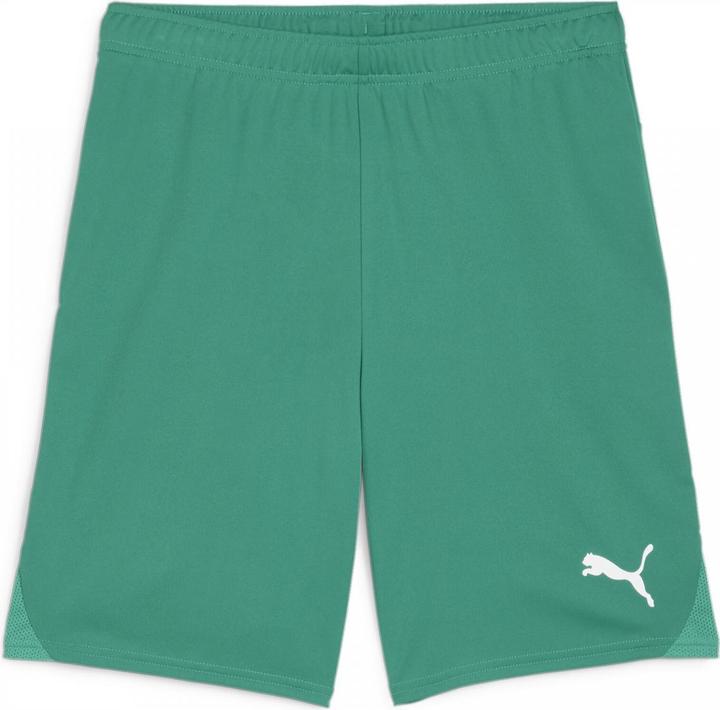 Produktbild Puma teamGOAL Shorts (M)