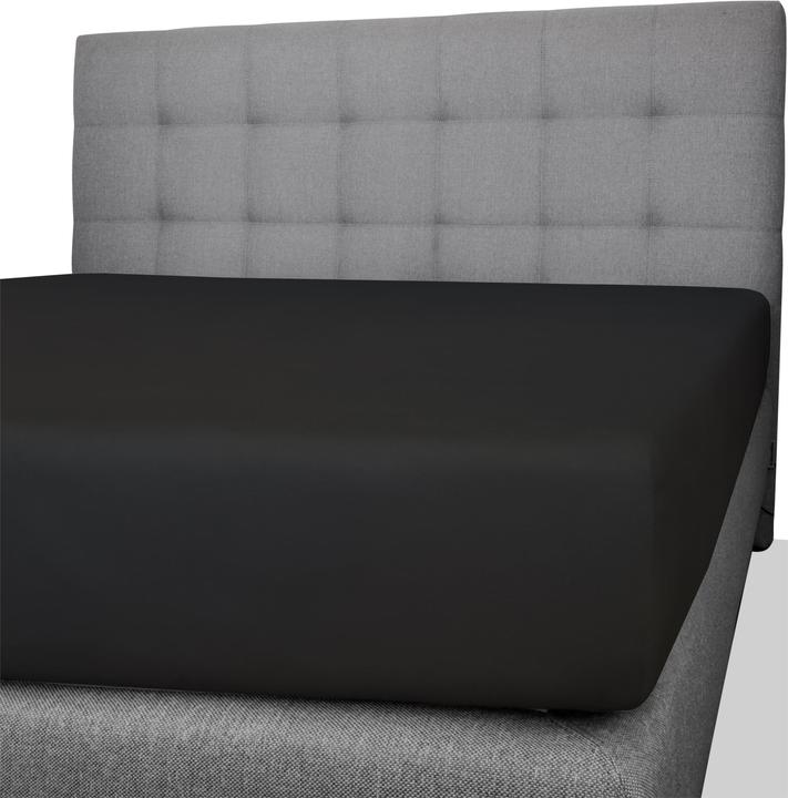Actual product image Aspero 2 x cotton fitted sheets (140, 160 x 200 x 25 cm)