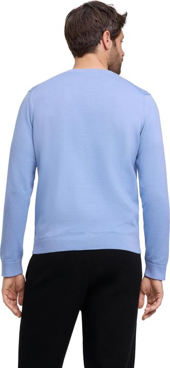 Produktbild Falke FAV Cotton V-Neck m (XL)