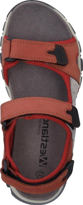 Actual product image Westland 25802-TE508 (41)
