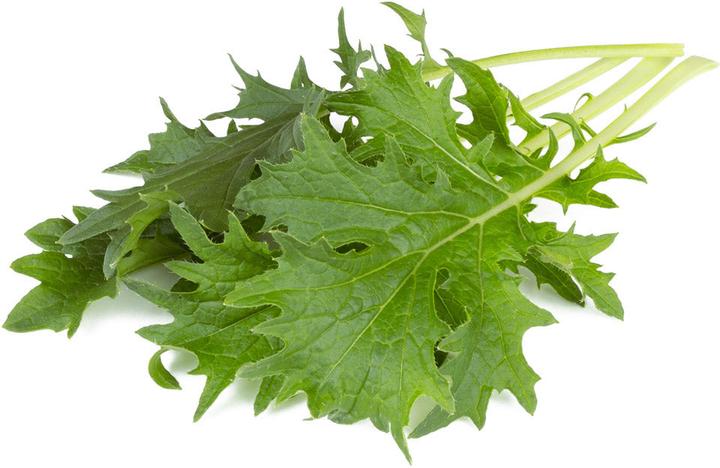 Productafbeelding Click and Grow Click & Grow Smart Navulling Mizuna 3st