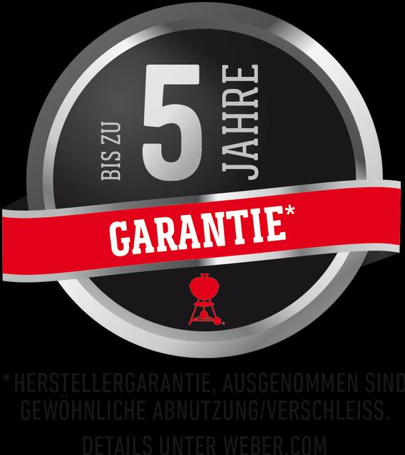 Image du produit Weber Ardoise GP56 (3.70 kW)
