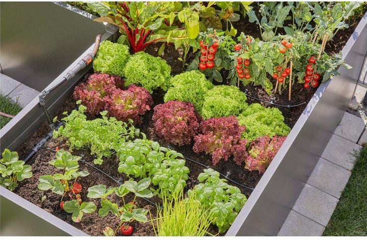 Image du produit Gardena Bouchon de fermeture 4,6 mm (Irrigation goutte à goutte Connecteur + dérivation)