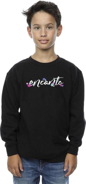 Image du produit Disney - Sweat ENCANTO LOGO - Garçon (140, 146)