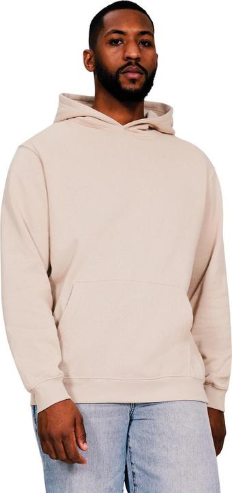 Immagine prodotto Universal Textiles Core Felpa con Cappuccio Uomo (L)
