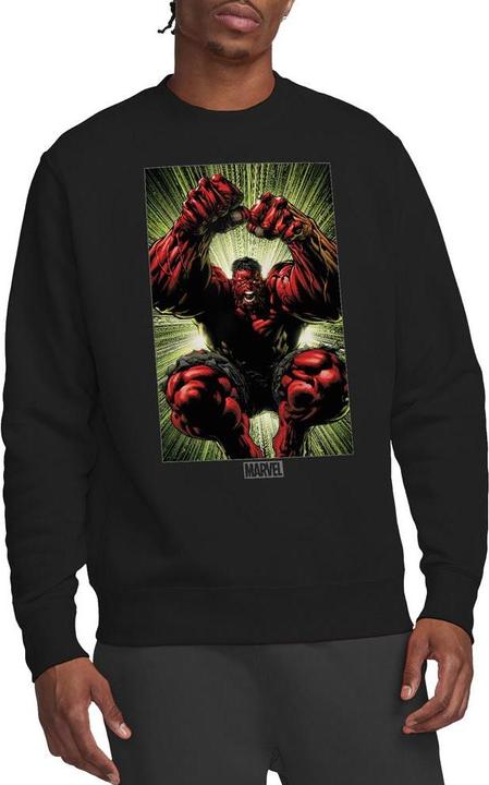 Produktbild Sweatshirt (XXL)
