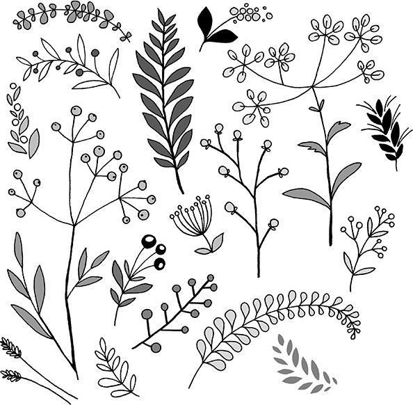 Actual product image Handlettering. Das grosse Buch der Schmuckelemente (German, Mrs. Annika, 2021)