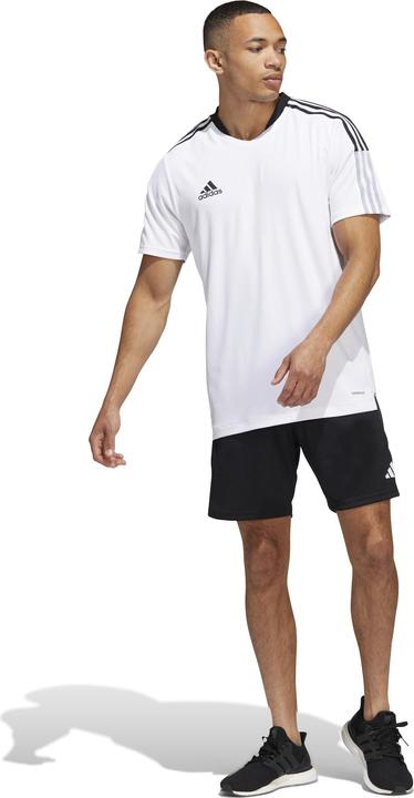 Image du produit adidas Short d'entraînement Tiro 23 Competition Hommes (XL)