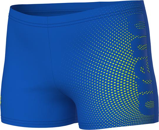 Image du produit Arena B Dim Light Swim Short (128)