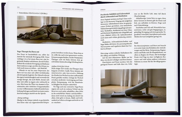 Actual product image Yoga-Therapie in der Praxis (German, Daniel, Bitta/Shepherd, Boerger, Judith (Dr.med.)/Helbig, 2023)