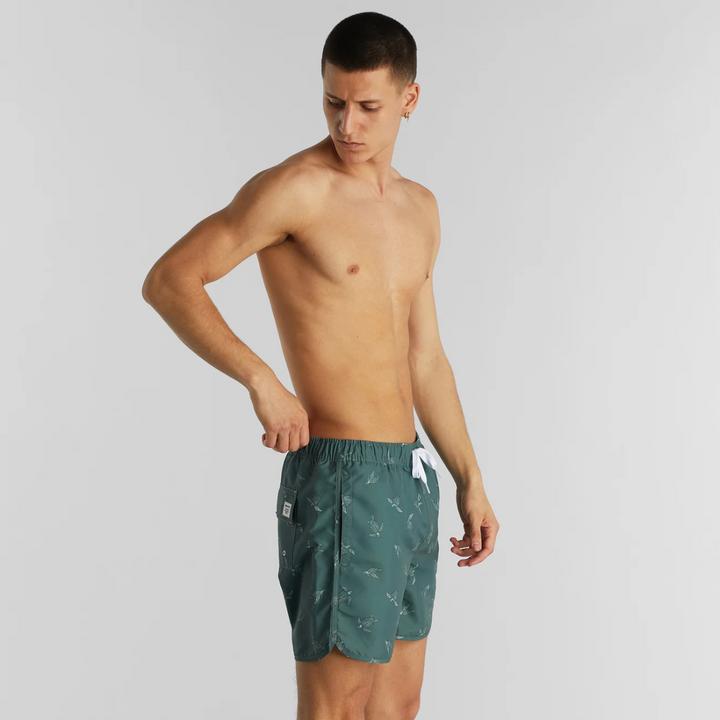 Image du produit Dedicated Swim Shorts Sandhamn Sea Turtles Forest Green S (S)