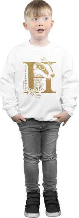 Produktbild Hufflepuff Glitter Sweatshirt Jungen (140, 146)