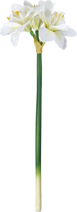 Produktbild EGLO LIVING Molave (63 cm)