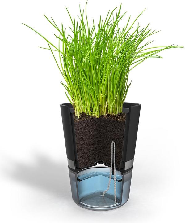 Produktbild GEFU Botanico (14.20 cm)