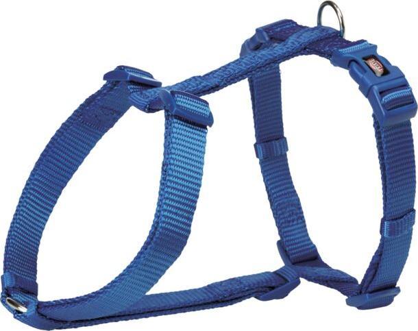 Royalblau