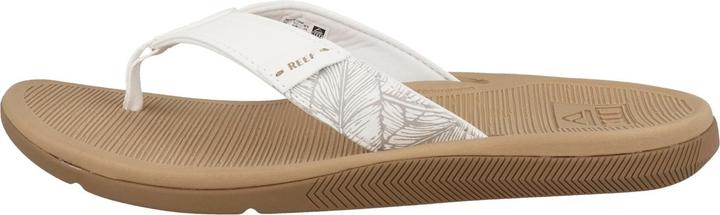 Actual product image Reef Santa Ana (37.5)