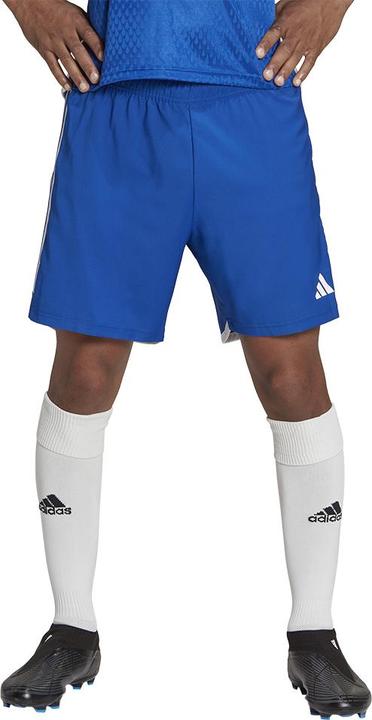 Actual product image adidas Tiro 23 Competition Match training shorts men (S)