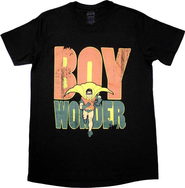 Batman Robin Boy Wonder