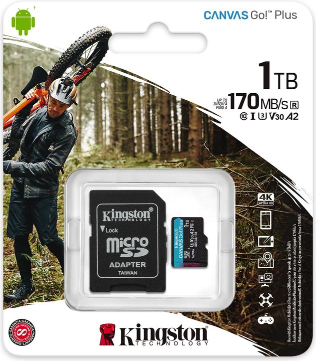 Immagine prodotto Kingston Canvas Go Plus (1000 GB, microSDXC, U3, UHS-I)
