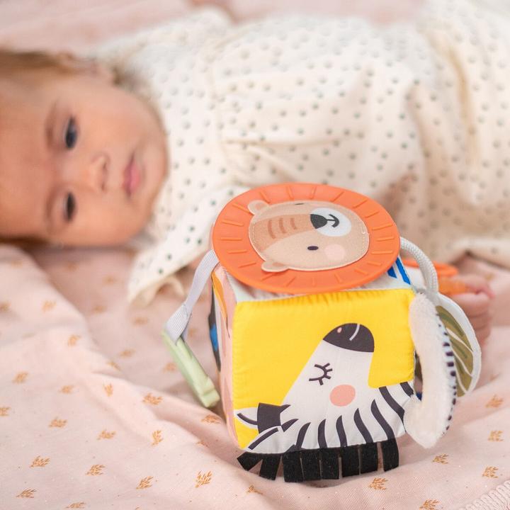 Actual product image Taf Toys Savannah discovery cube
