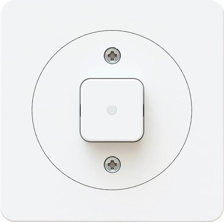Immagine prodotto Max Hauri Pulsante maxONE A/R