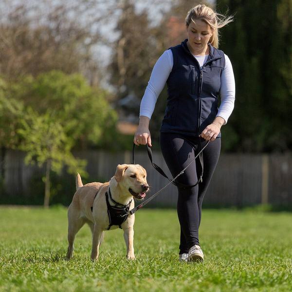 Produktbild Halti No Pull Geschirr (XS, Hund, Hundesport)
