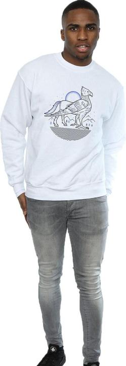 Image du produit - Sweat BUCKBEAK LINE ART - Homme (XXL)