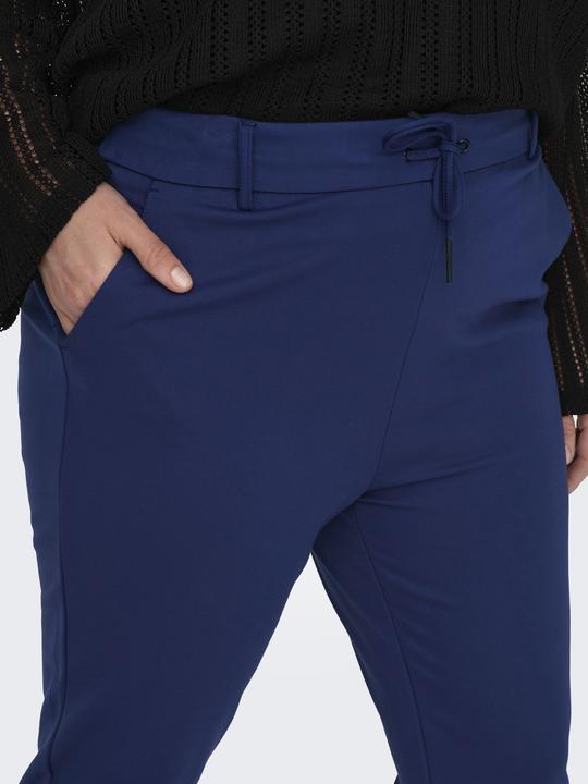 Image du produit Only Curvy pantalon uni (54)