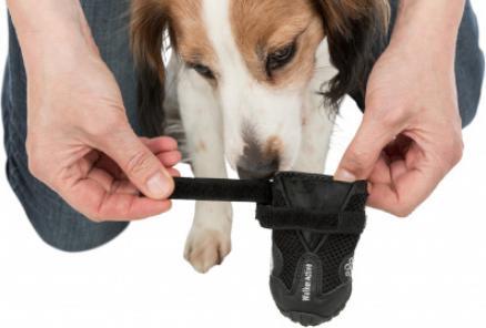 Produktbild Trixie Pfotenschutz Walker Active Gr.L (L, Hundeschuhe)