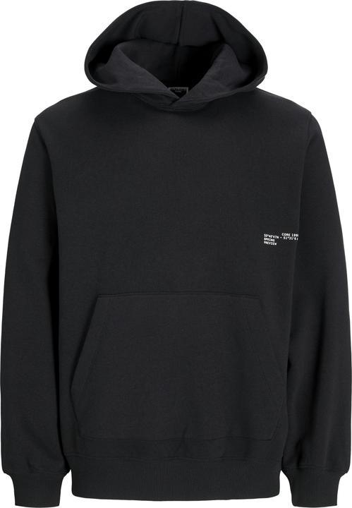 Actual product image Jack & Jones Gedruckt Kapuzenpullover Kapuzenpullover (L)