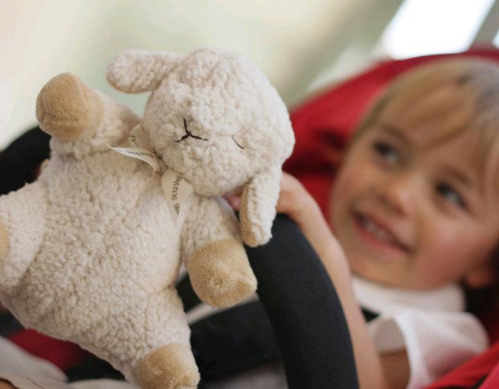 Produktbild Cloud B Sleep Sheep on the go (CB7302-ZZ)