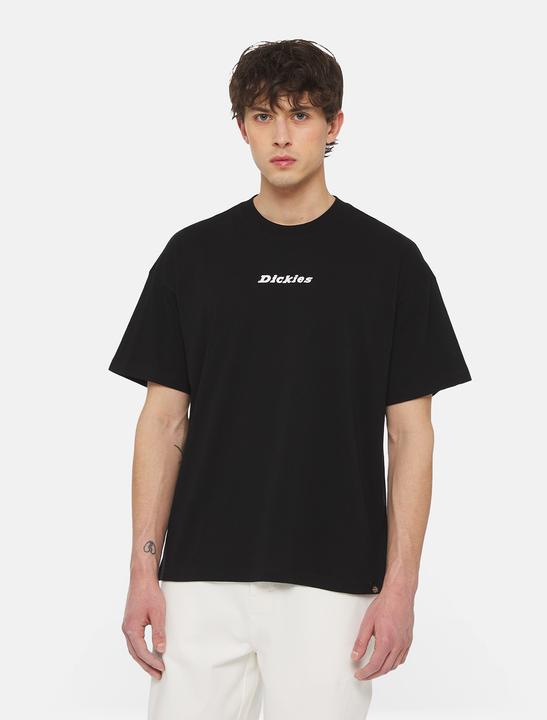 Actual product image Dickies Enterprise Tee Ss (M, L)
