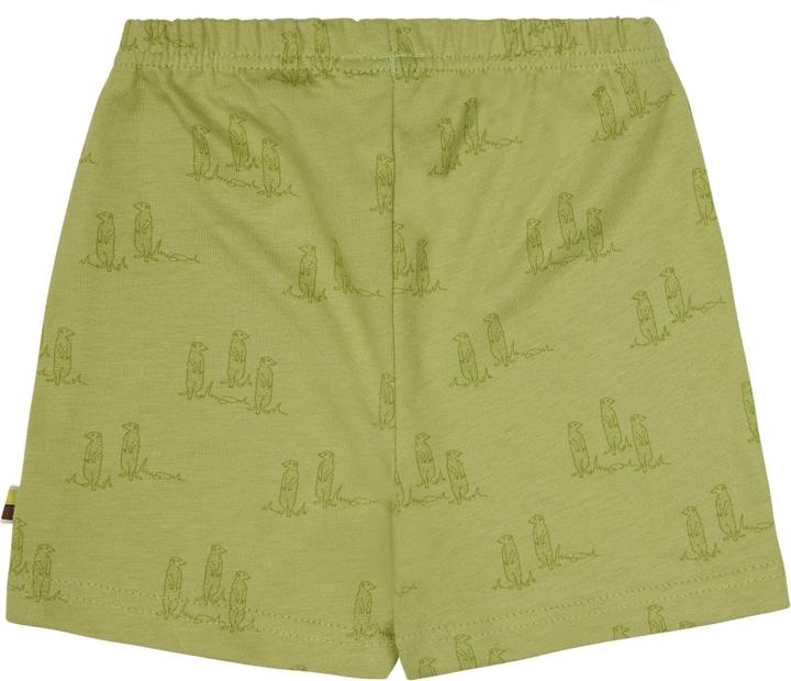 Produktbild loud + proud Short Druck (68)