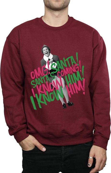 Image du produit Elf - Sweat SANTA'S COMING - Homme (L)