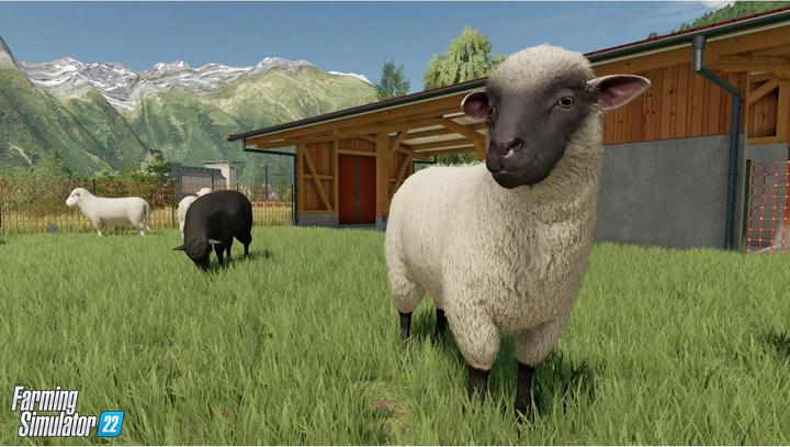 Actual product image Giants Software Farming Simulator 22 - Platinum Edition (PS5, DE)