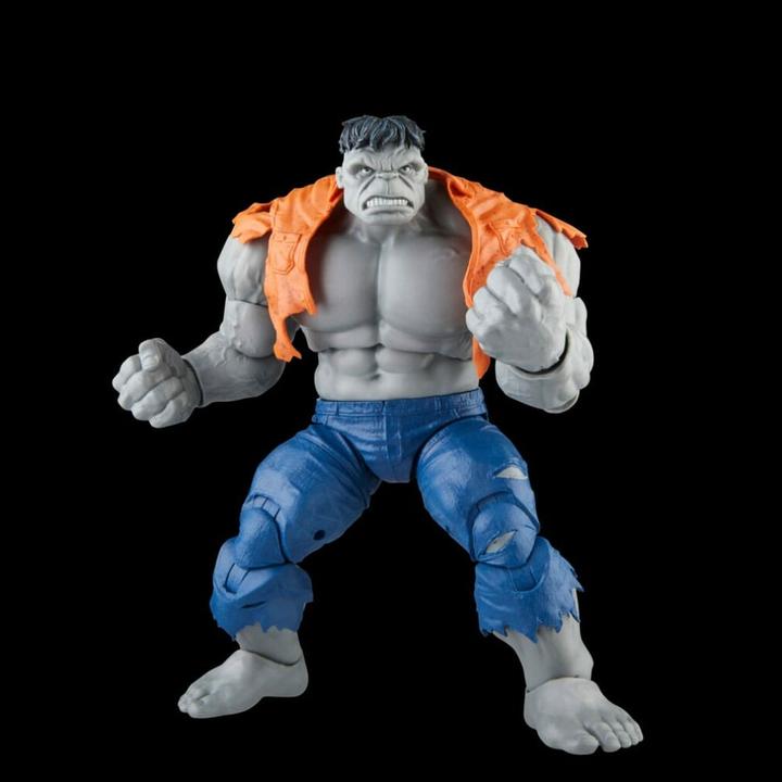 Immagine prodotto Hasbro Avengers Marvel Legends Gray Hulk & Dr. Bruce Banner