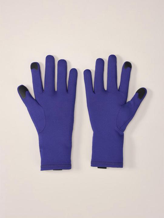 Actual product image Arc'teryx Rho (L)