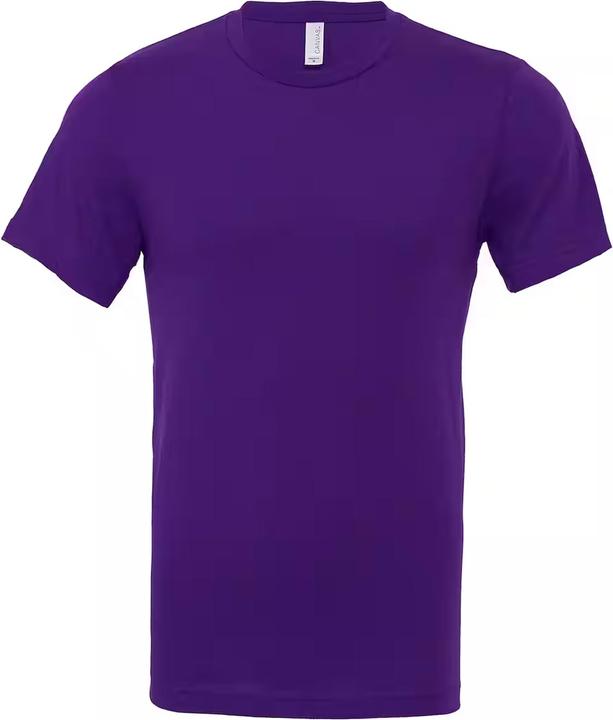 Actual product image Bella Canvas Adult Crew Neck Tshirt (XS)