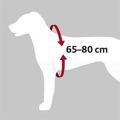 Produktbild Trixie Auto-Geschirr Dog Protect (Hund, Reflektoren)