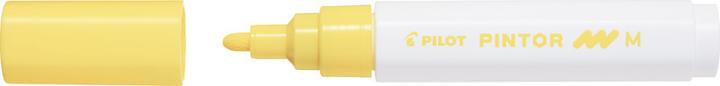 Produktbild Pilot Pintor Medium Set à 6 Standard (Mehrfarbig, 1.40 mm, 6 x)