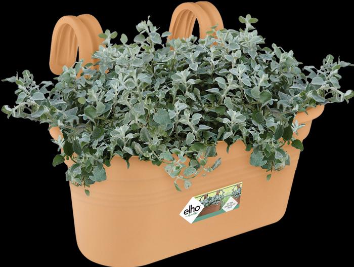 Actual product image Elho Easy Hanger Green Basics balcony box, oval, 26x36x25.7 cm, made of plastic in terracotta (26.20 cm)
