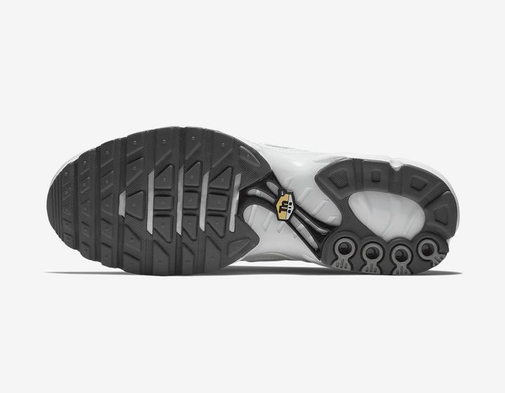 Image du produit Nike Air Max Plus (44.5)