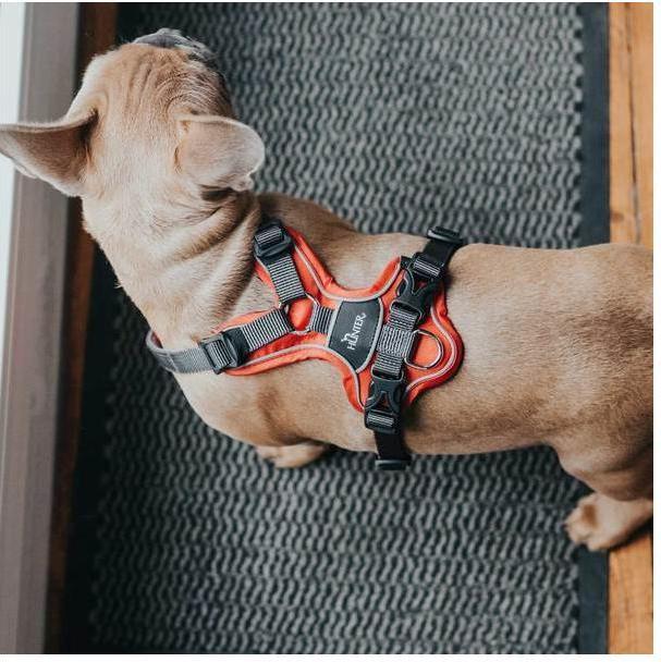 Actual product image Hunter Divo tableware (XS, Dog, General)