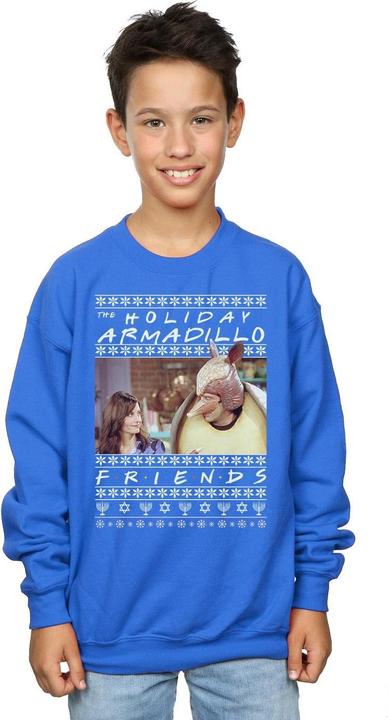 Immagine prodotto Friends Fair Isle Holiday Armadillo Felpa Ragazzi (140, 146)