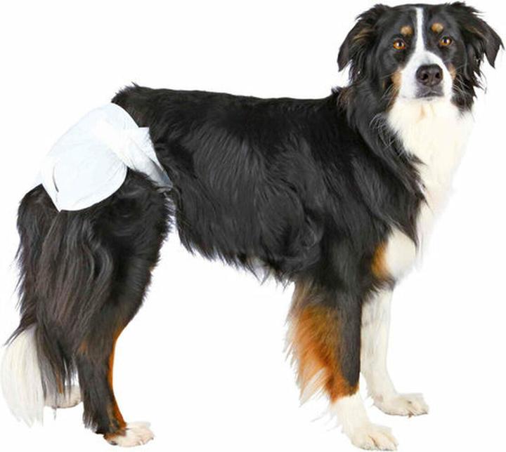 Produktbild Trixie Windeln für Hündinnen XL 12Stück (Hund)