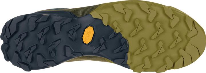 Actual product image Dynafit Transalper GTX running shoe (45)